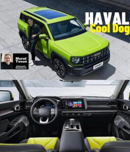 2024 Haval Türkiye Cool Dog